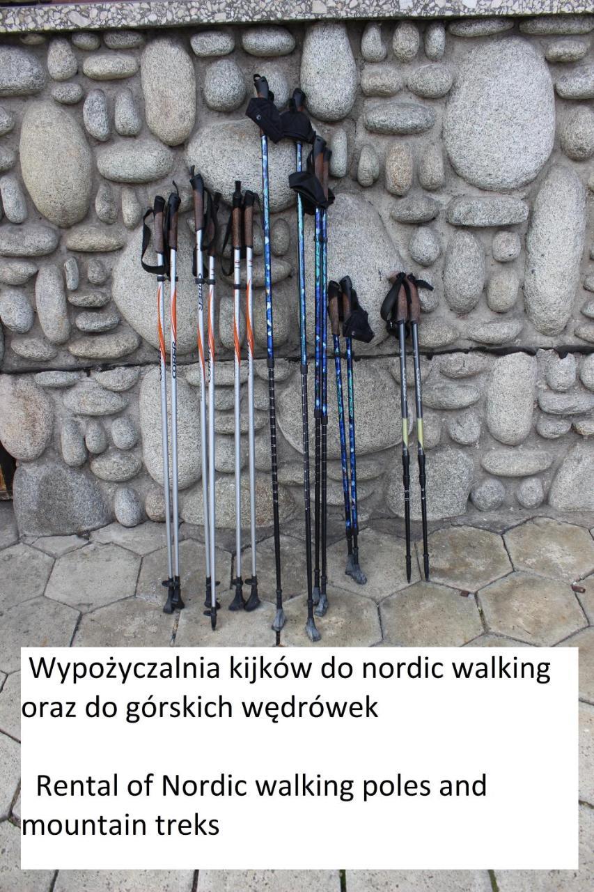 Willa Pod Zielonym Wierchem Zakopane Eksteriør bilde